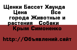 Щенки Бассет Хаунда  › Цена ­ 25 000 - Все города Животные и растения » Собаки   . Крым,Симоненко